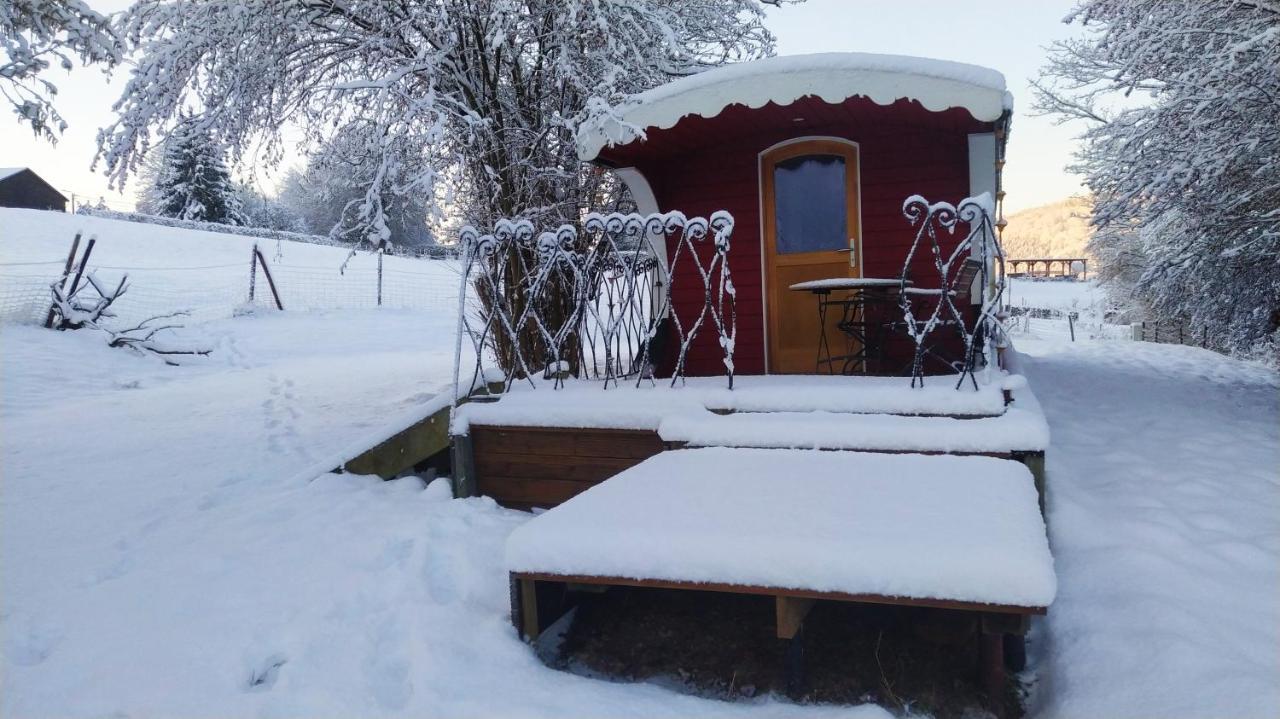 La Tiny House De La Bergerie Villa Lierneux Dış mekan fotoğraf