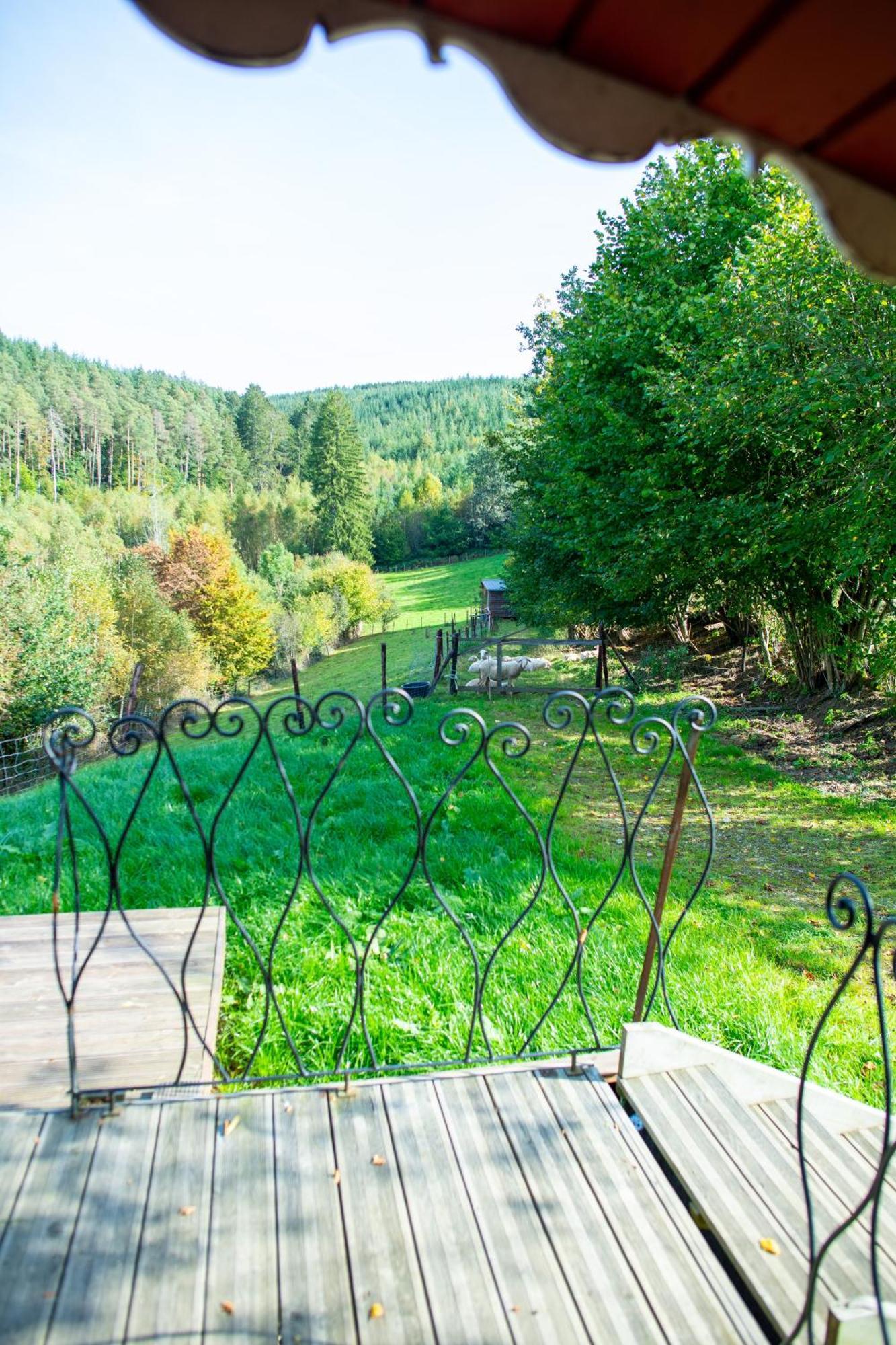 La Tiny House De La Bergerie Villa Lierneux Dış mekan fotoğraf