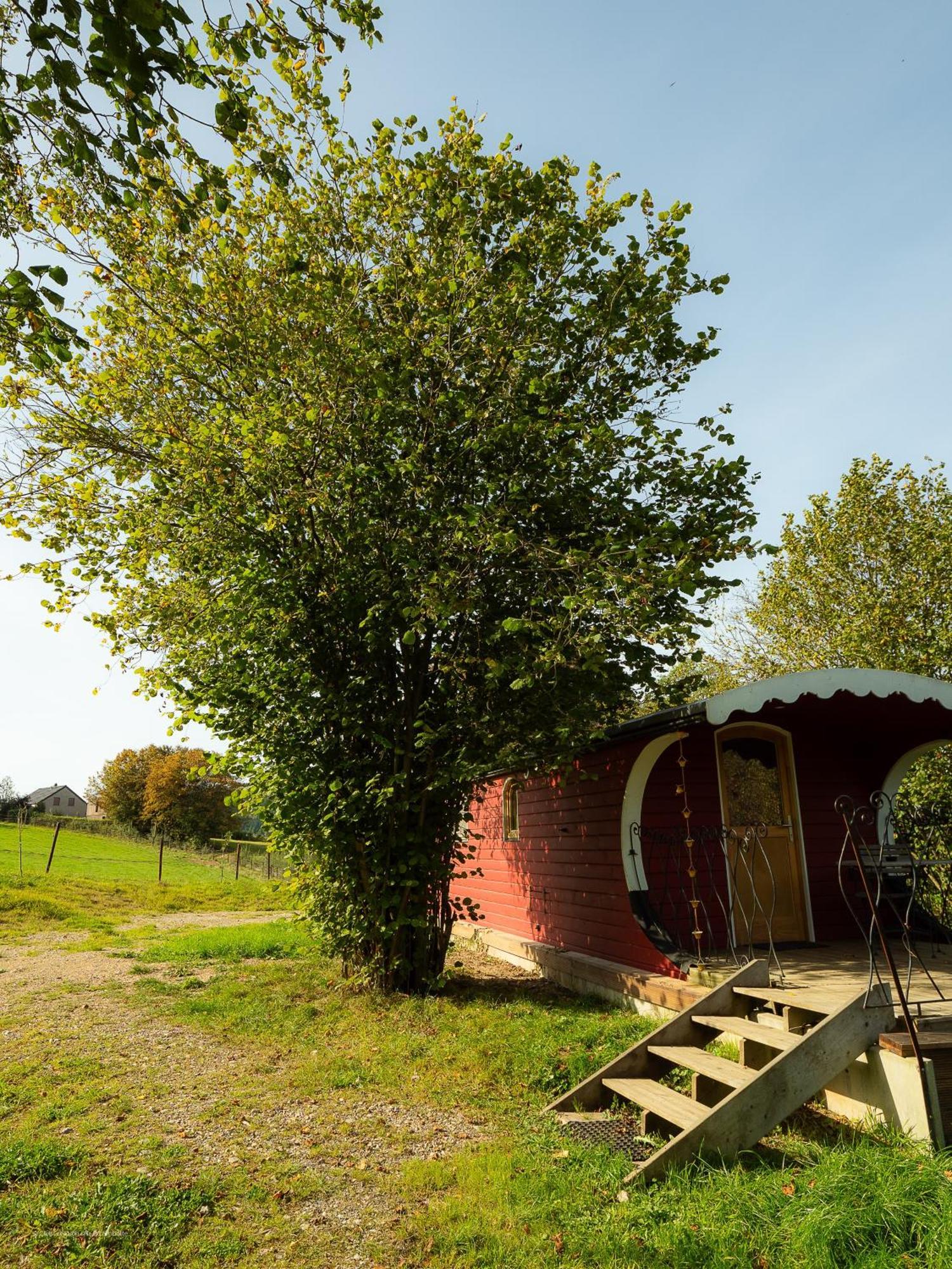La Tiny House De La Bergerie Villa Lierneux Dış mekan fotoğraf